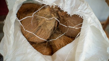 Kısmen soyulmuş hindistan cevizi doğal