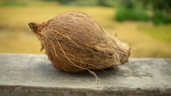 Částečně Oloupaný Kokosový Přírodní — Stock fotografie