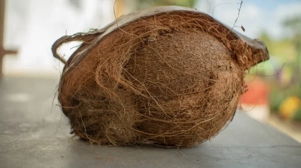 Gedeeltelijk Geschilde Kokosnoot Natuurlijk — Stockfoto