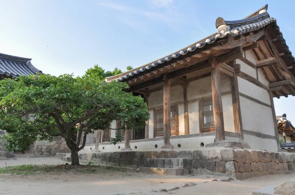 Koreai Konfuciusz Akadémia Joseon Dinasztia Idejéből Udvar Kis Fával Keleti — Stock Fotó