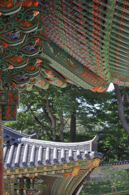 Şilla Hanedanlığı döneminden kalma Kore Budist tapınağı. Daeungjeon Malikanesi ayrıntıları ve Vairocana Buda heykellerinin bulunduğu Daebirojeon Salonu. Haeinsa Tapınağı, Gaya Dağı, Gayasan Ulusal Parkı, Güney Kore.