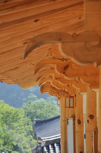 Şilla Hanedanlığı Döneminden Kalma Kore Budist Tapınağı Arka Planda Orman — Stok fotoğraf