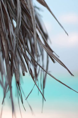 Denizci geçmişi. Denizin arka planında bir saman şemsiyesinin kenarı.