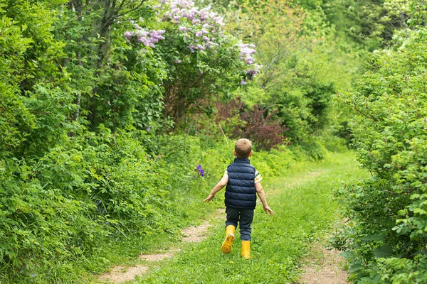 Little boy from the back, running along the path on the background of the forest, lilac bushes and fences — Stock Photo, Image