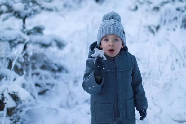 Un ragazzo sorpreso in piedi accanto ad abeti innevati ha trovato una stella bianca — Foto Stock