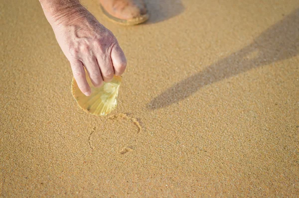 一方砂浜背景に持株貝殻をクローズ アップ — ストック写真