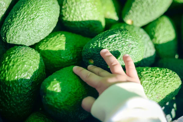 Närbild på barnets hand innehav avokado på marknaden — Stockfoto