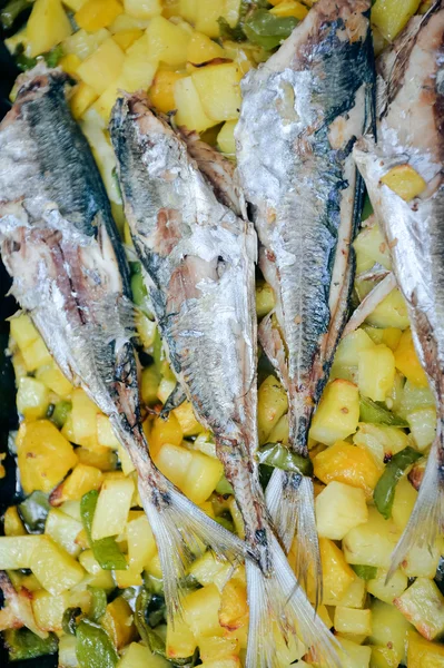 맛 있는 구운 생선과 야채 — 스톡 사진