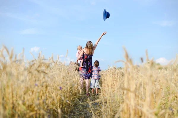 Una madre y dos niños caminando a través de un campo de trigo — Foto de Stock