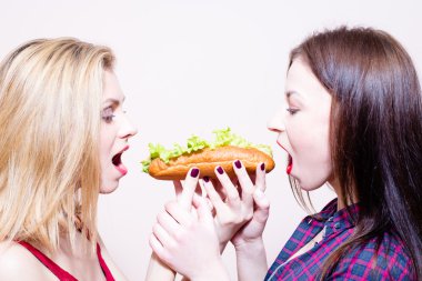 Picture of 2 hungry beautiful girls having fun eating together one hotdog on light background copy space