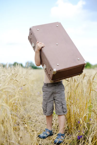 Маленький хлопчик піднімає велику стару валізу на пшеничному полі — стокове фото