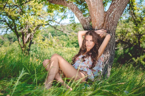 Retrato de glamour jovem bonita senhora sentada na grama no dia ensolarado ao ar livre Imagem De Stock