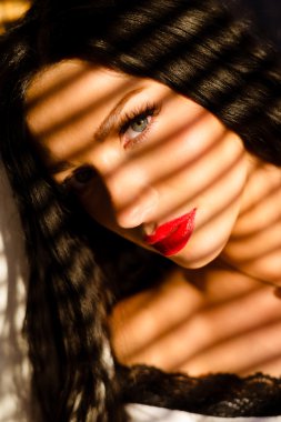 Portrait of sexy brunette female with red lips in dramatic light near window.