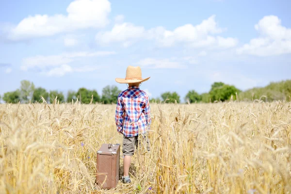 Boy in straw cowboy hat standing in golden wheat field — Stok fotoğraf