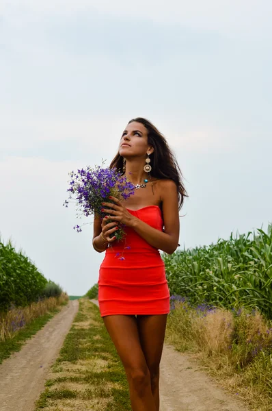 Hermosa joven sexy dama sosteniendo flores silvestres y caminando por el camino del campo — Foto de Stock