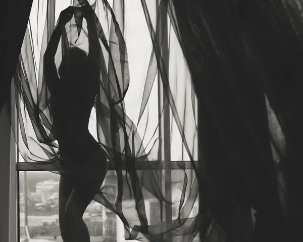 Black and white silhouette of beautiful young lady beside window
