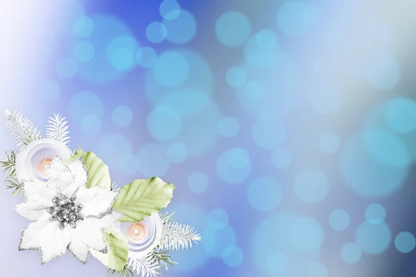 Wonderful Christmas illustration with flower composition on bokeh blue background — Stockfoto