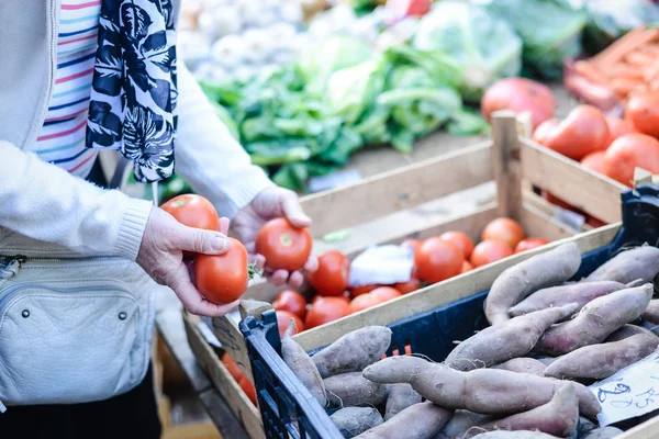 Señora recogiendo tomates rojos maduros frescos del puesto del mercado agrícola — Foto de Stock