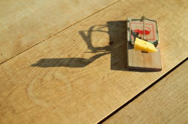 Mousetrap with piece of cheese waiting on sunny plank floor design