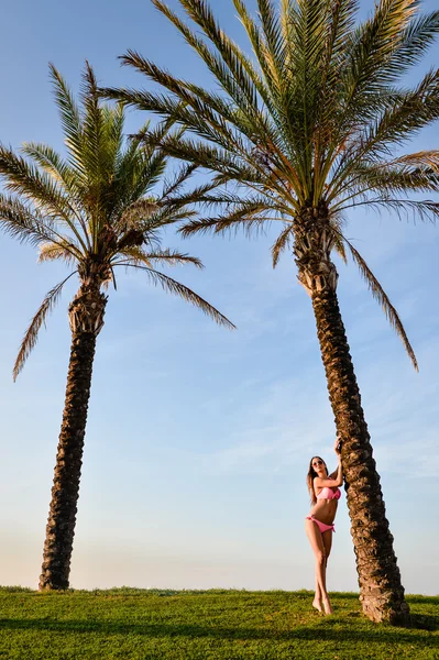 Bild på vackra unga glada damen i rosa bikini bredvid palmträdet. Vacker flicka på sommaren blå himmel bakgrund. — Stockfoto