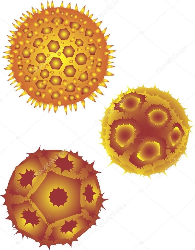 pollen grains vector