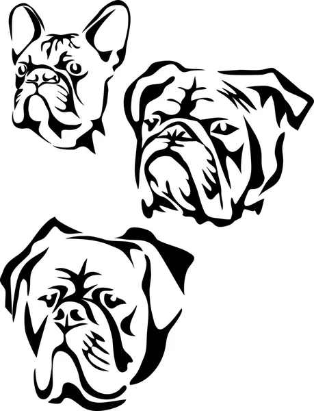 Hoofd van bulldog — Stockvector