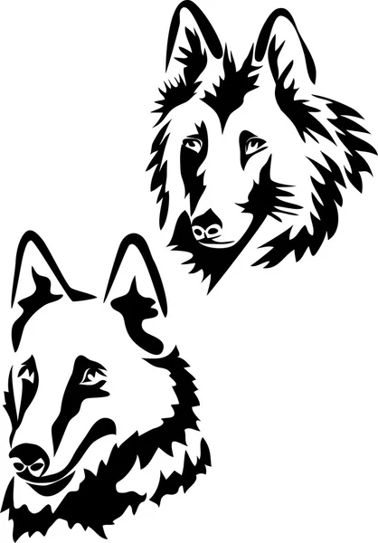 Tête de chien de berger belge — Image vectorielle