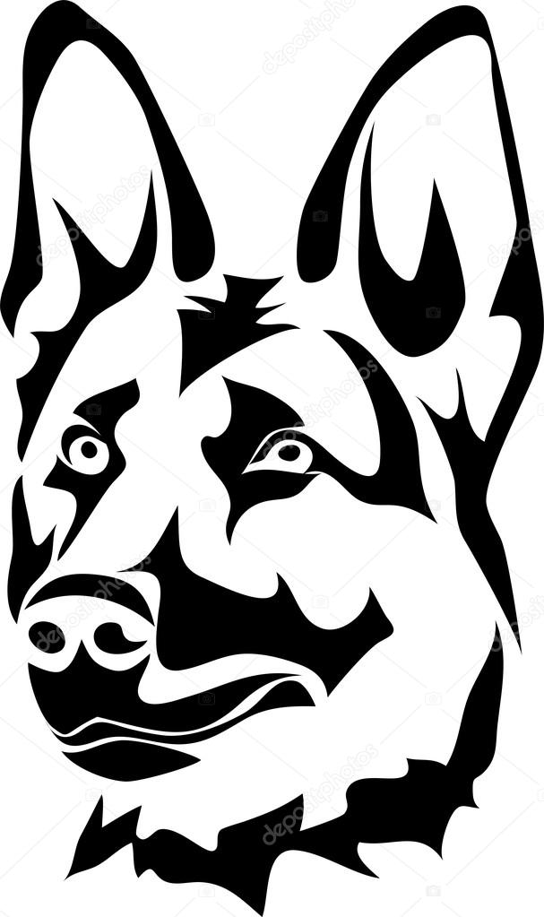 Head of german shepherd dog — Stock Vector © bokononist #106567926