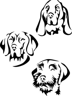 Head of pointer dog clipart