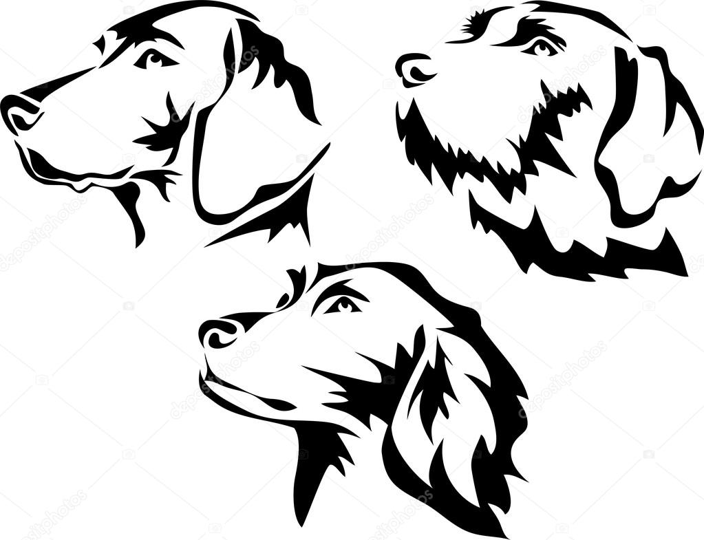 Image vectorielle Tête de chien de chasse par ©bokononist - 110494934, image size:1023x785