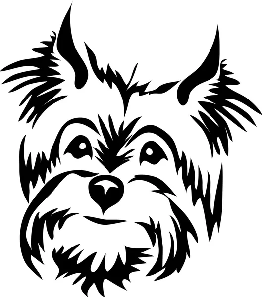 Head of terrier dog — Stock Vector