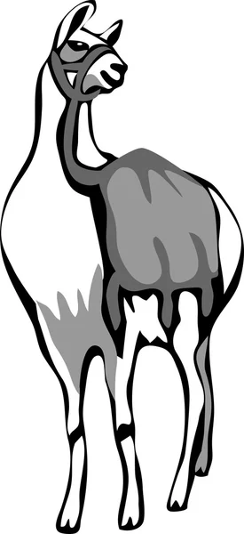 Llama con pack — Vector de stock