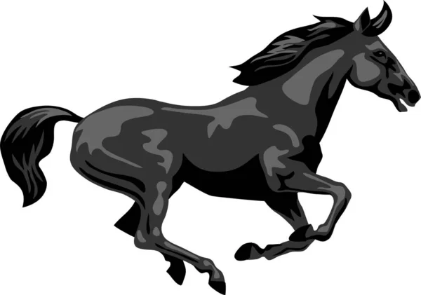 Svart Häst Galopperande Gråskala Vektor Illustration — Stock vektor