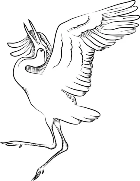 Crane Bird Dancing Ilustración Vectorial Blanco Negro — Vector de stock