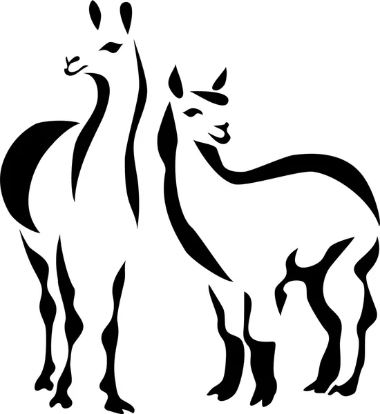 Llama — Stock Vector