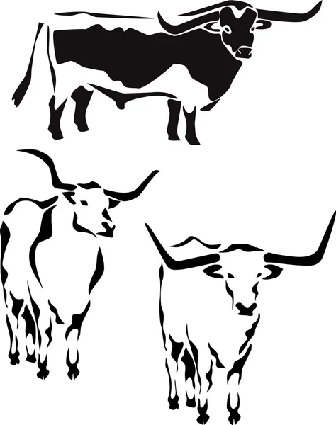 Longhorn cattle — Stock Vector