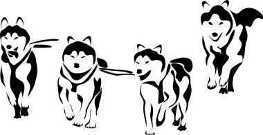 Malamute
