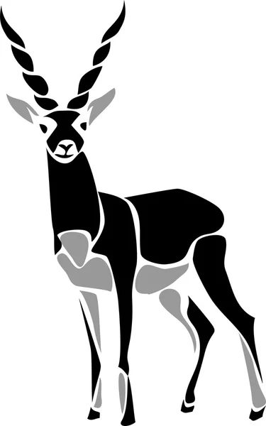 Zwarte buck — Stockvector