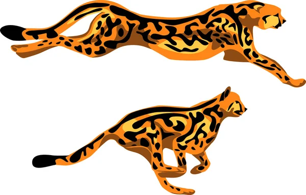 Guépard — Image vectorielle