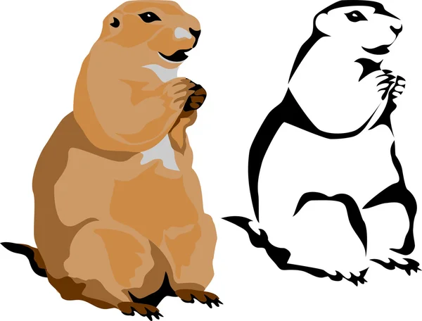 Prairie dog — Stock Vector