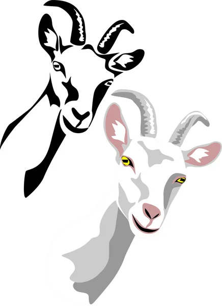 Tête de chèvre — Image vectorielle