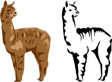 lama