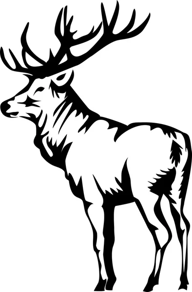 Elk illustration — Stock Vector