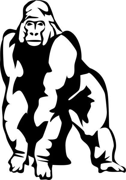 Gorilla — Stock Vector