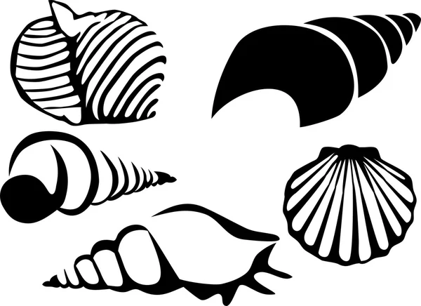 Комплект морских раковин — стоковый вектор