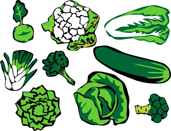 Taze yeşil sebzeler — Stok Vektör
