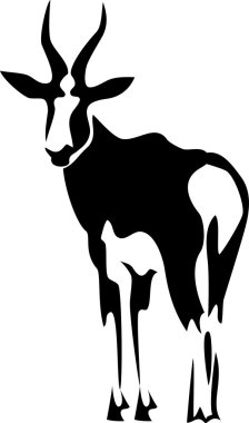 bontebok antilop illüstrasyon