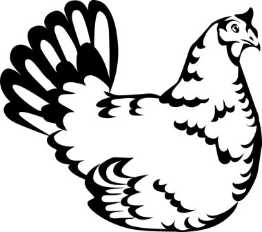 tavuk - stilize illüstrasyon