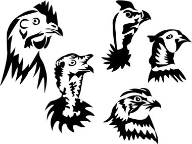 gallinaceous kümes hayvanları illüstrasyon