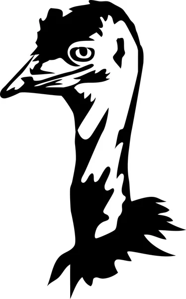 EMU hlavy ilustrace — Stockový vektor